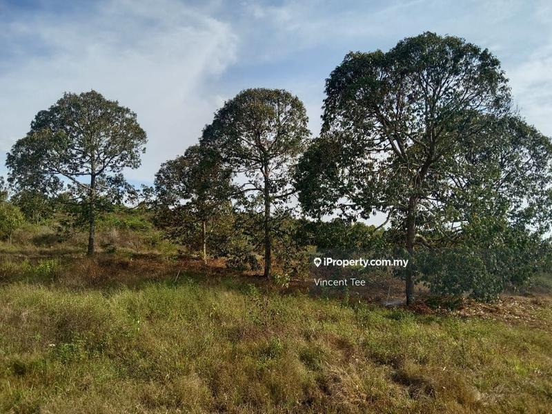 Tanah Pertanian untuk Dijual di Taman Jelebu, Kuala Klawang oleh Vincent Tee - iProperty.com.my