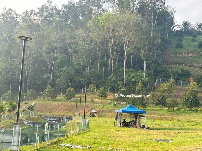 For Rent - Agriculture Land 6 Acres @ Serendah Rawang