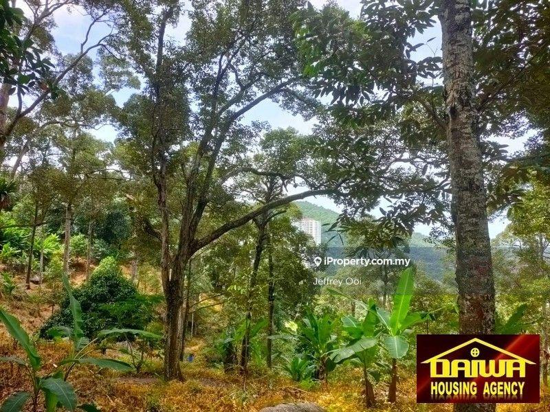 Tanah Pertanian untuk Dijual di Teluk Kumbar, Teluk Kumbar oleh Jeffrey Ooi - iProperty.com.my