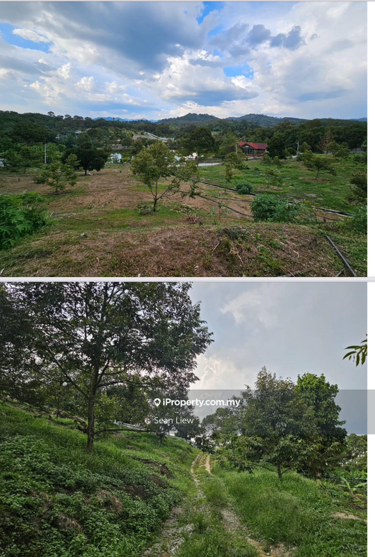 Agricultural Land for Sale in Hulu Langat, Selangor by Sean Liew - iProperty.com.my
