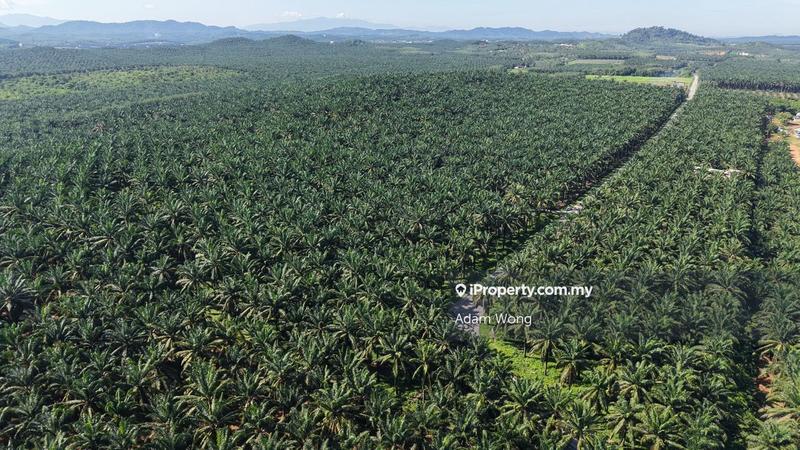 Tanah Pertanian untuk Dijual di Kolej Matrikulasi Kedah, Gurun oleh Adam Wong - iProperty.com.my