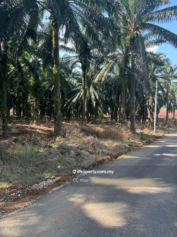 Tanah Kediaman untuk Dijual di Hulu Terengganu, Terengganu oleh CC Khor - iProperty.com.my