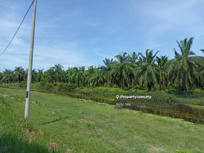 Tanah Pertanian untuk Dijual di Nibong Tebal, Penang oleh Kelly Yee - iProperty.com.my