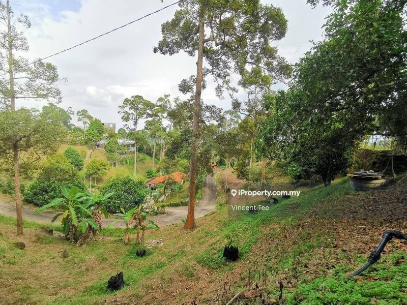 Tanah Pertanian untuk Dijual di Bukit Relau, Balik Pulau oleh Vincent Tee - iProperty.com.my