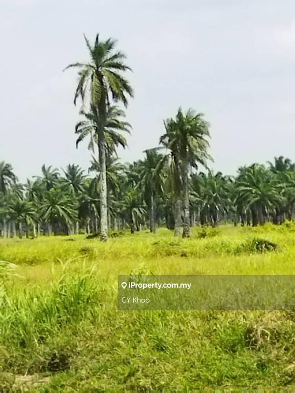 Agricultural Land for Sale in Selangor Kuala Langat Morib Banting 42700, Banting by CY Khoo - iProperty.com.my