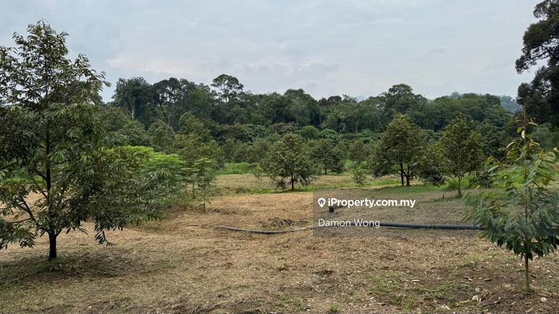 Agricultural Land for Sale in Karak, Karak by Damon Wong - iProperty.com.my