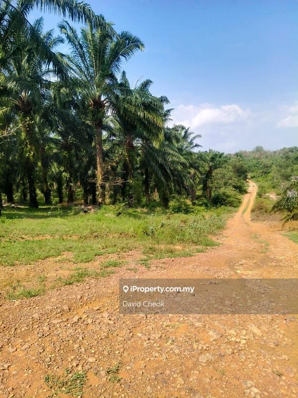 Tanah Pertanian untuk Dijual di Lukut, Port Dickson oleh David Cheok - iProperty.com.my