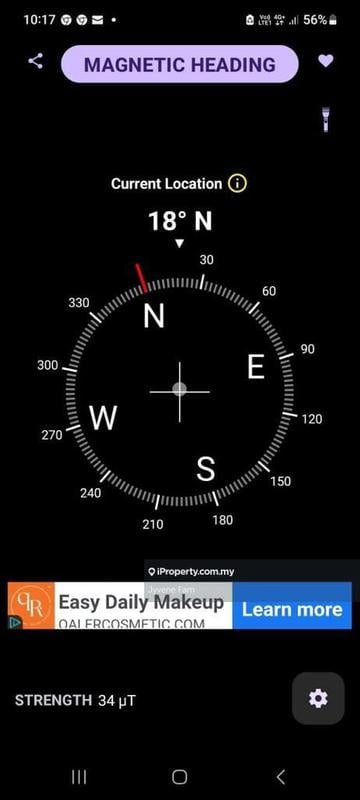 For Sale - Evergreen Park Scot Pine