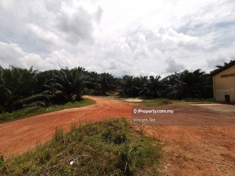 Agricultural Land for Sale in Bukit Kuin, Kuantan by Vincent Tee - iProperty.com.my