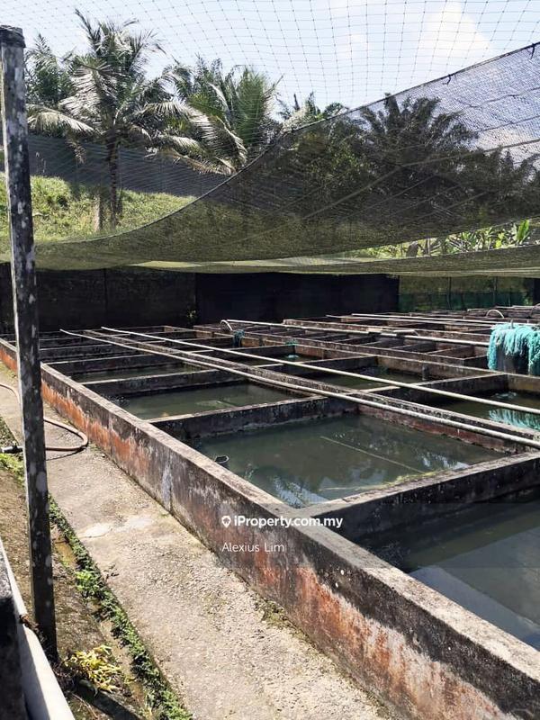 Agricultural Land for Sale in Kulai, Kulai by Alexius Lim - iProperty.com.my