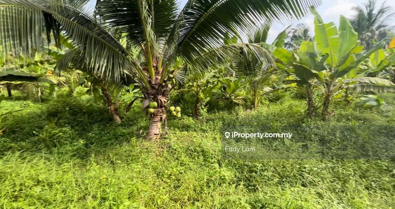 Tanah Perindustrian untuk Dijual di Teluk Gong, Port Klang (Pelabuhan Klang) oleh Eddy Lum - iProperty.com.my