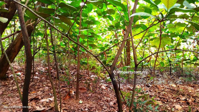 Tanah Kediaman untuk Dijual di Happy Garden,Salak South,Zoning Commercial(2.25A), Kuchai Lama oleh Mr Chai - iProperty.com.my