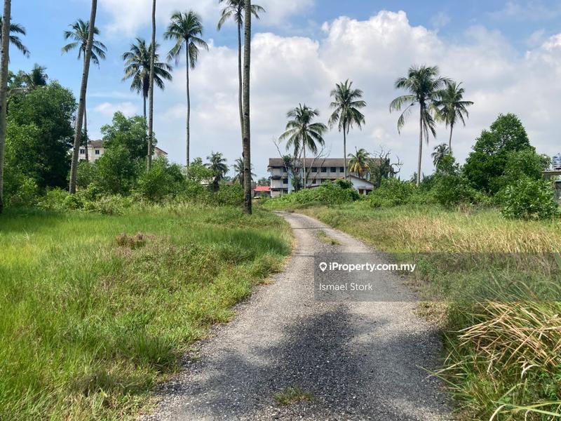 Agricultural Land for Sale in Kampung Sungai Ular, Sungai Karang by Ismael Stork - iProperty.com.my