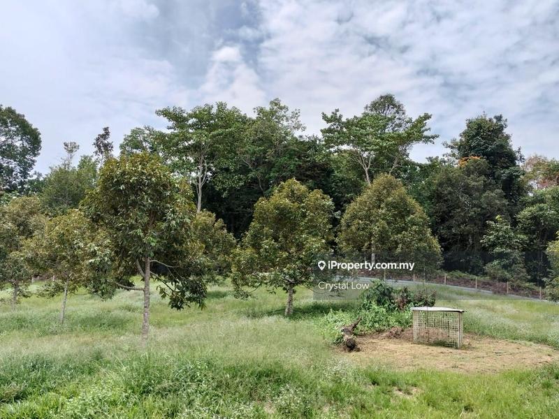 Tanah Pertanian untuk Dijual di Sega, Raub oleh Crystal Low - iProperty.com.my