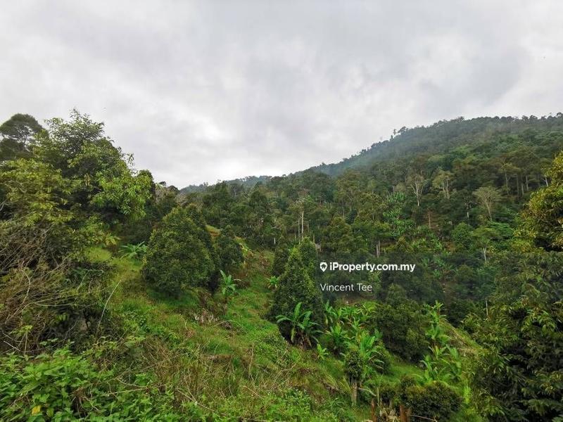 Tanah Pertanian untuk Dijual di Bukit Relau, Balik Pulau oleh Vincent Tee - iProperty.com.my
