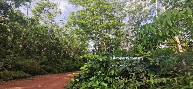 Agricultural Land for Sale in Taman Mentakab, Mentakab by Irene Leong - iProperty.com.my