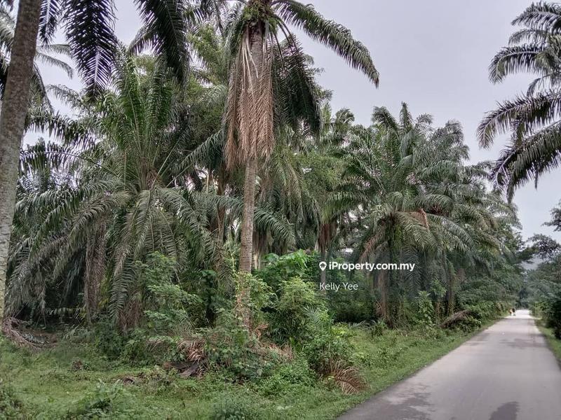 For Sale - Agriculture Land in Bandar Tasek Mutiara for Sale