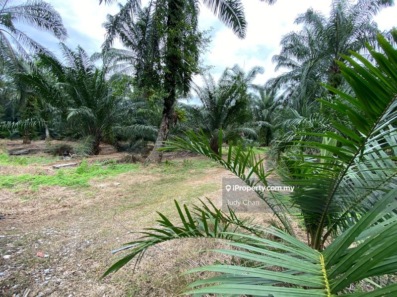 For Sale - Sijangkang Banting Klang