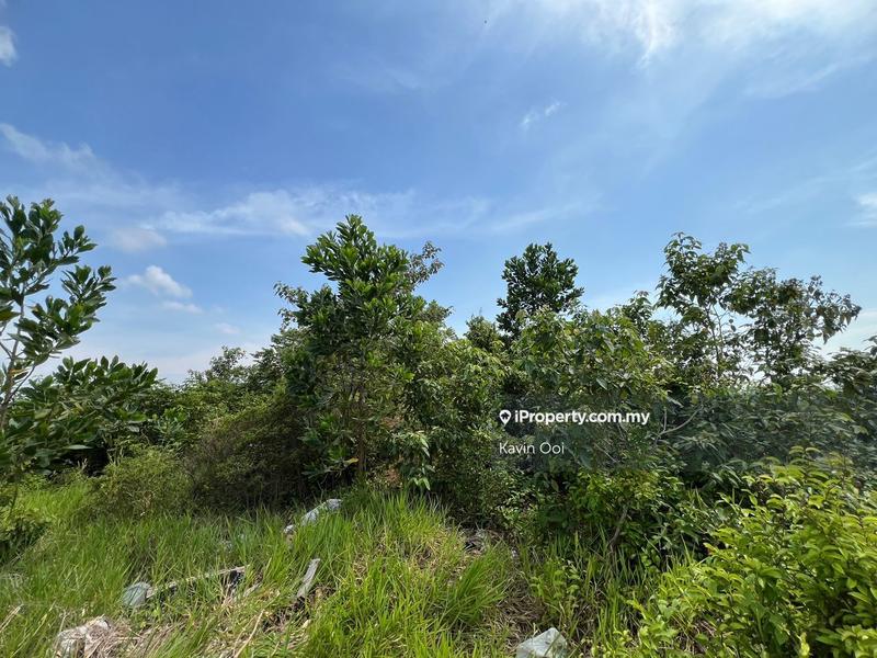 Agricultural Land for Sale in Bertam Ulu, Tanjong Minyak by Kavin Ooi - iProperty.com.my