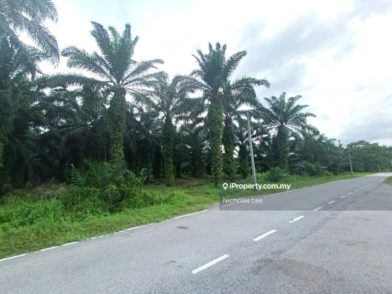 Agricultural Land for Rent in Kampung Sri Cheeding, Jenjarom by Nicholas Lee - iProperty.com.my