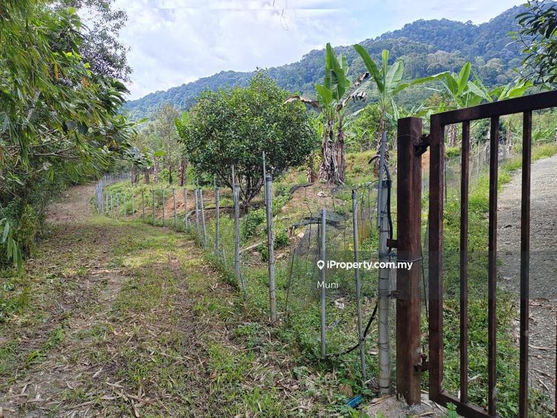 Agricultural Land for Sale in Jelapang, Ipoh by Muni - iProperty.com.my