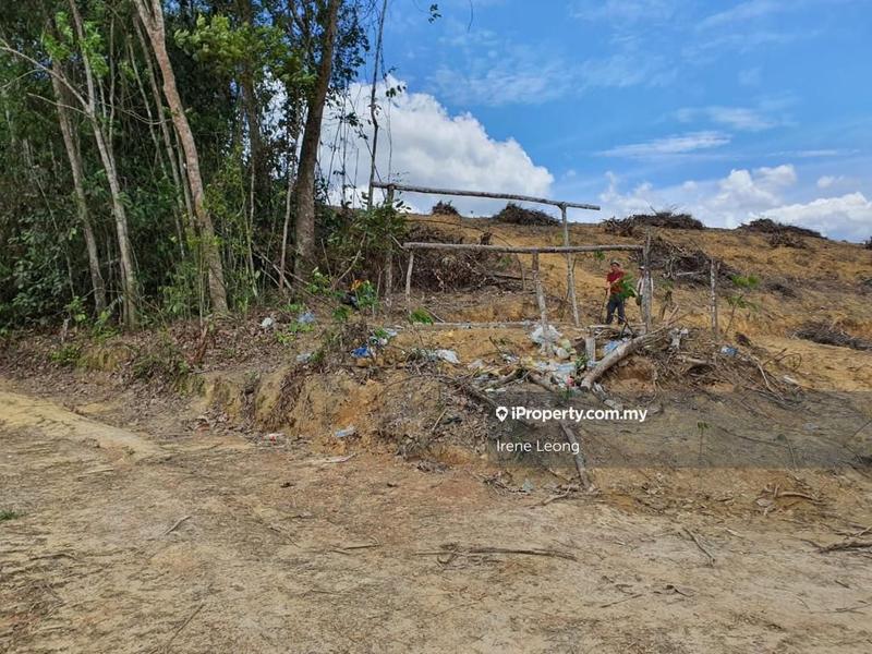 Agricultural Land for Sale in Karak, Pahang by Irene Leong - iProperty.com.my