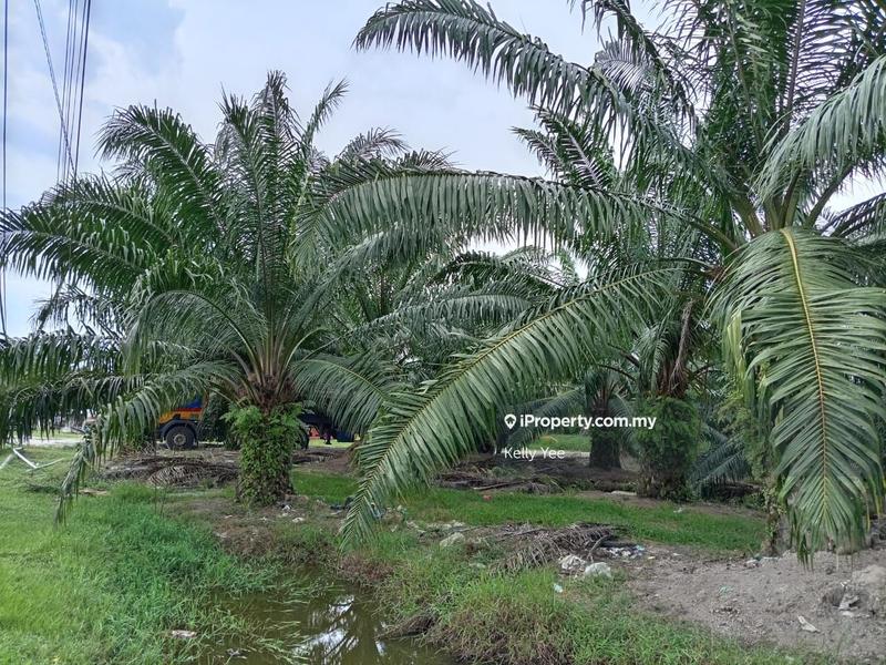 Tanah Pertanian untuk Dijual di Nibong Tebal, Penang oleh Kelly Yee - iProperty.com.my