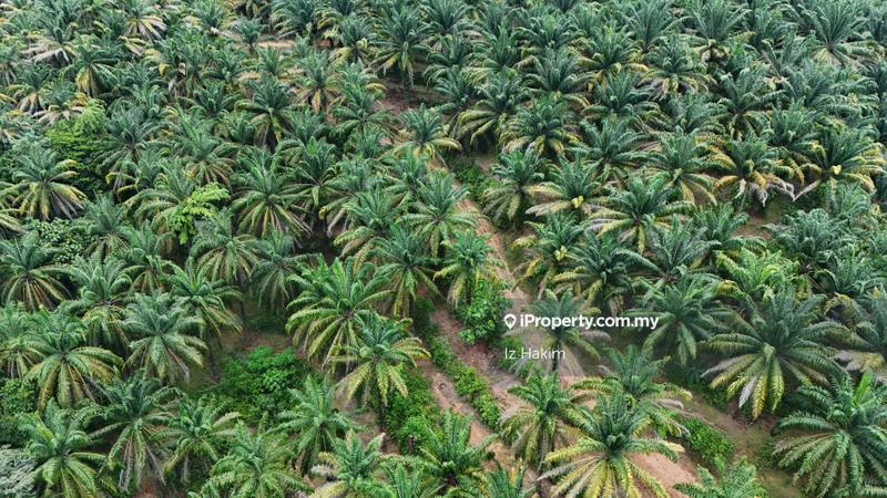 Agricultural Land for Sale in Kuala Kubu Baru, Selangor by Iz Hakim - iProperty.com.my