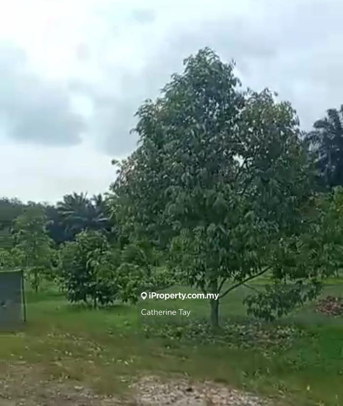 Agricultural Land for Sale in Sri Lalang, Kluang by Catherine Tay - iProperty.com.my