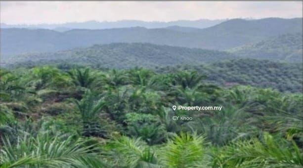 Tanah Pertanian untuk Dijual di Taman Gua Musang, Gua Musang oleh CY Khoo - iProperty.com.my