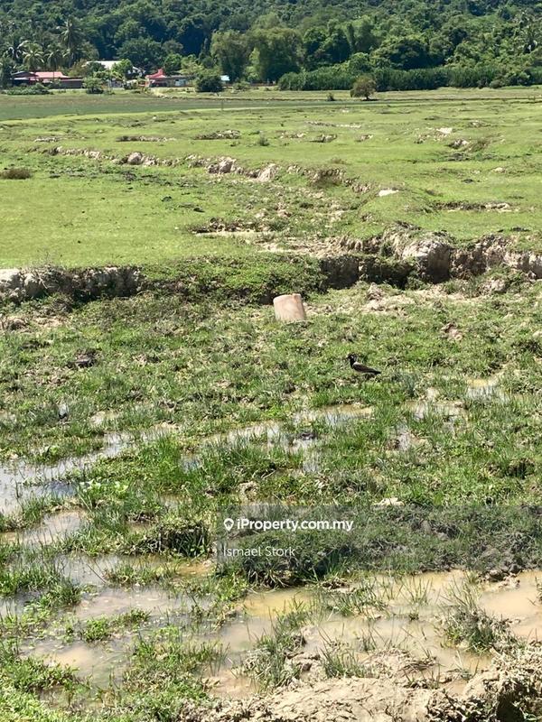 Agricultural Land for Sale in Langkawi, Kuah by Ismael Stork - iProperty.com.my