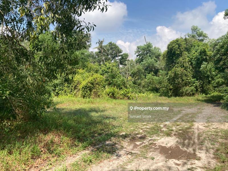 Agricultural Land for Sale in Kampung Sungai Ular, Sungai Karang by Ismael Stork - iProperty.com.my