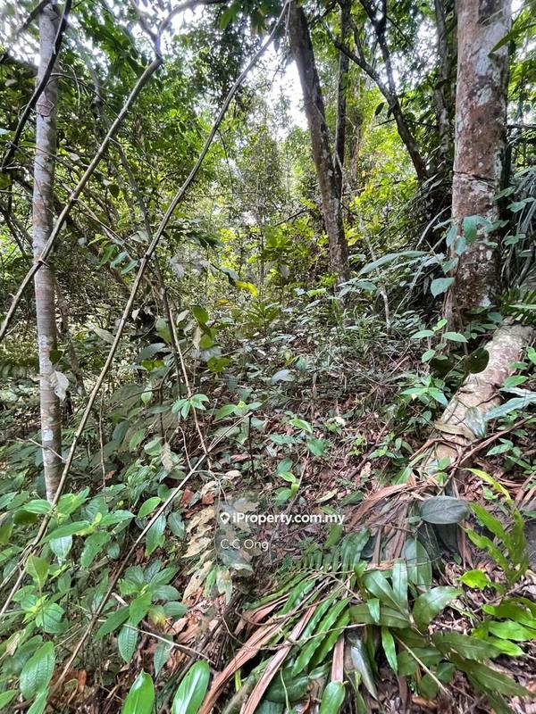 Tanah Komersial untuk Dijual di Bandar teknologi kajang, Semenyih oleh C.C.Ong - iProperty.com.my