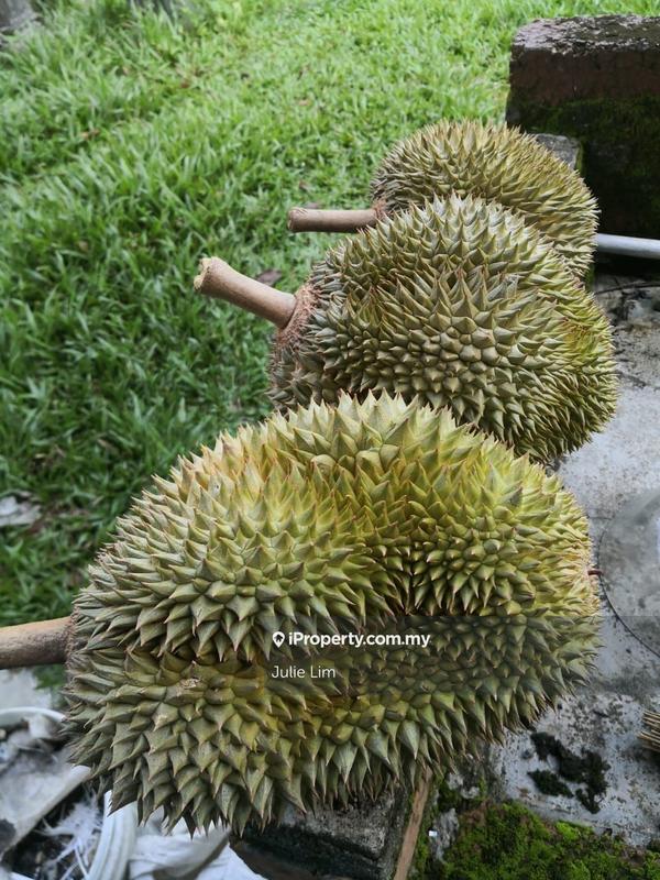 Tanah Pertanian untuk Dijual di Kampung Kuala Slim, Slim oleh Julie Lim - iProperty.com.my