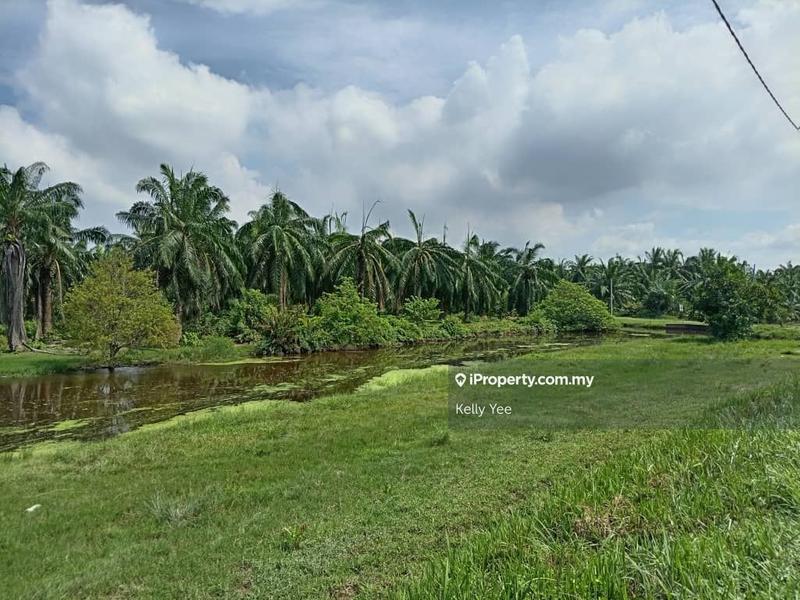 Tanah Pertanian untuk Dijual di Nibong Tebal, Penang oleh Kelly Yee - iProperty.com.my