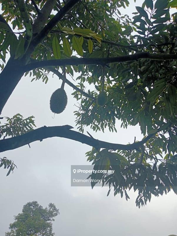 Tanah Pertanian untuk Dijual di Kampung Sungai Muntoh, Titi oleh Damon Wong - Exterior - iProperty.com.my