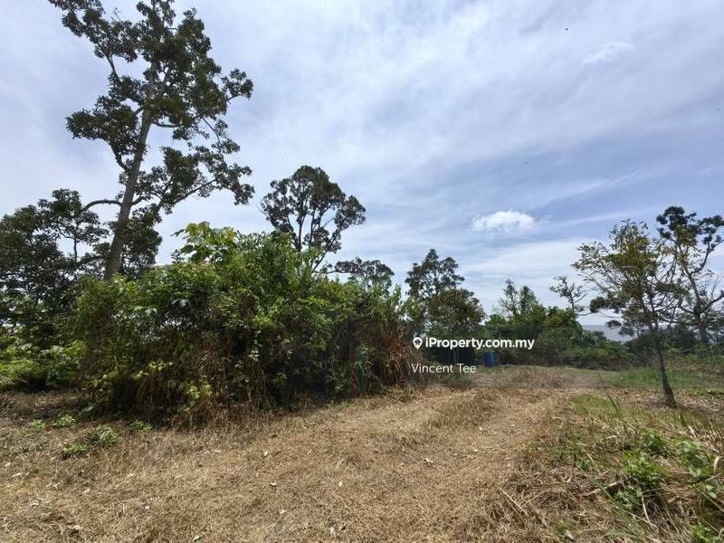 Agricultural Land for Sale in Bandar Lipis, Kuala Lipis by Vincent Tee - iProperty.com.my