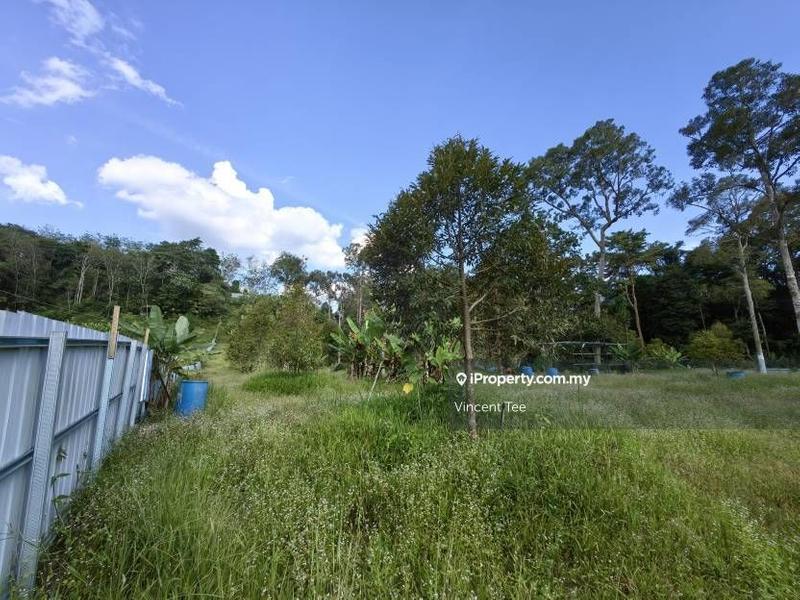 For Sale - 2 Acres Freehold Durian Farm Next to River Padang Tengku Kuala Lipis Raub Bentong