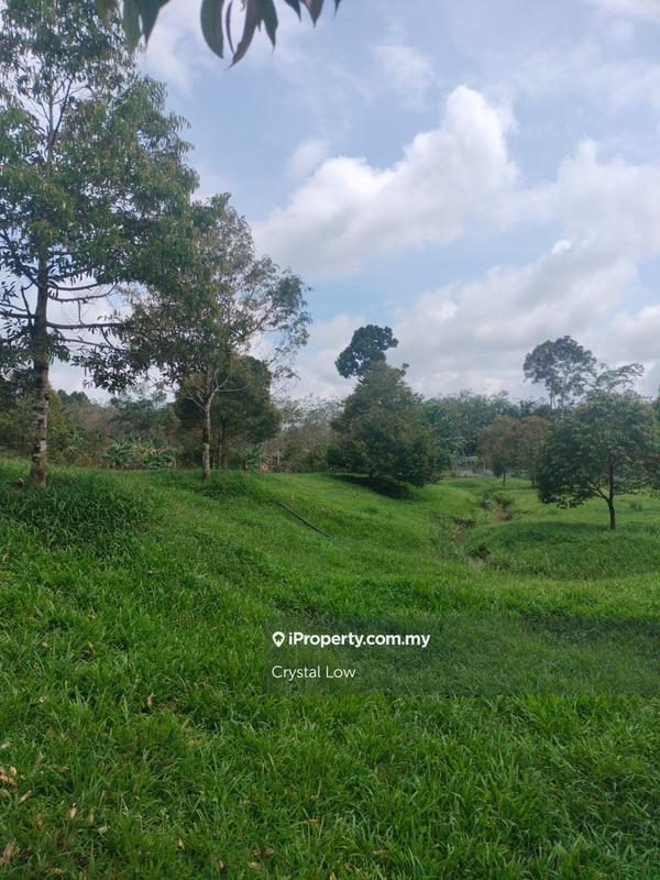 Tanah Pertanian untuk Dijual di Raub, Raub oleh Crystal Low - iProperty.com.my