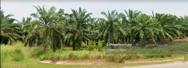 Tanah Pertanian untuk Dijual di Kampung Batang Poyan, Teluk Intan oleh Clemence Ngew - iProperty.com.my