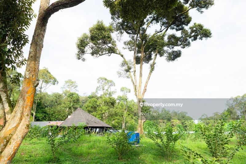 Agricultural Land for Sale in Agriculture Land @Changkat Jering Taiping Perak, Taiping by Alvin Foo - iProperty.com.my