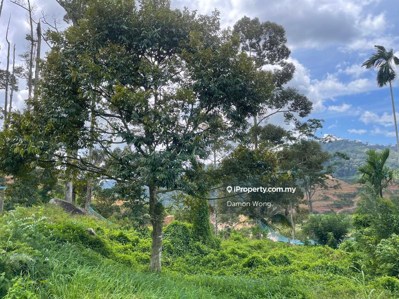 Agricultural Land for Sale in Karak, Bentong by Damon Wong - iProperty.com.my