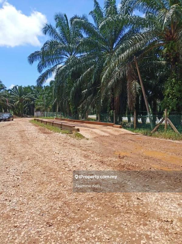 Tanah Pertanian untuk Dijual di Taman Gua Musang, Gua Musang oleh Jasmine Koh - iProperty.com.my