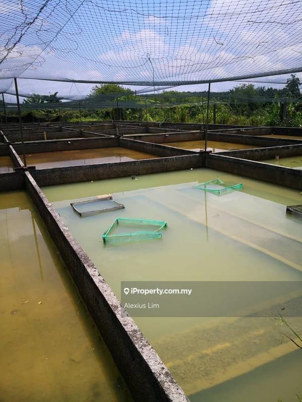 Agricultural Land for Sale in Kulai, Kulai by Alexius Lim - iProperty.com.my