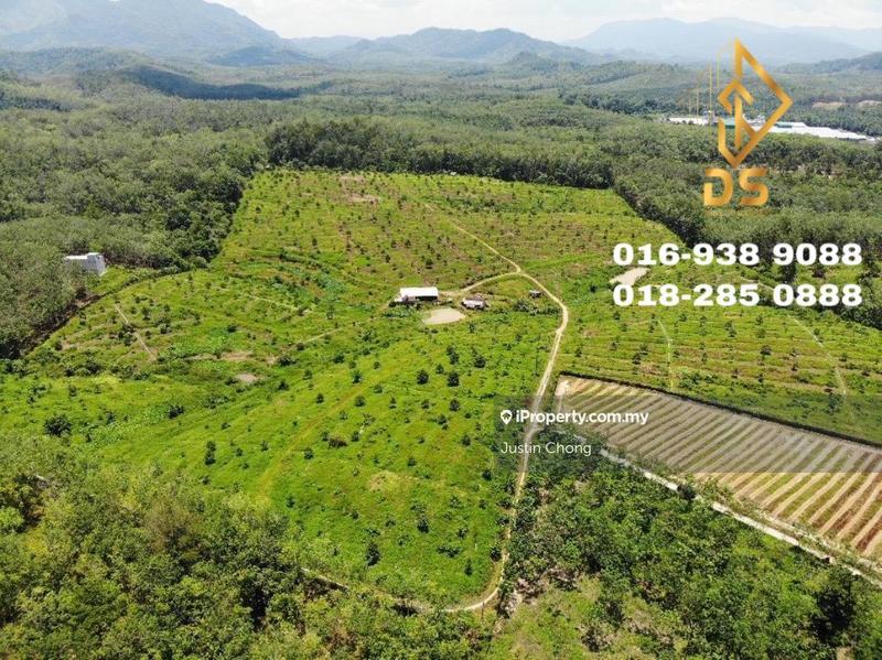 For Rent - GERIK @ Durian Farm For SALE