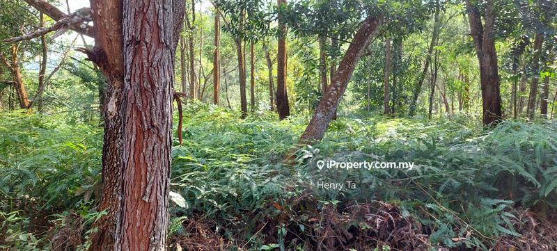 Bungalow Land for Sale in Bukit Tinggi, Bentong by Henry Ta - iProperty.com.my