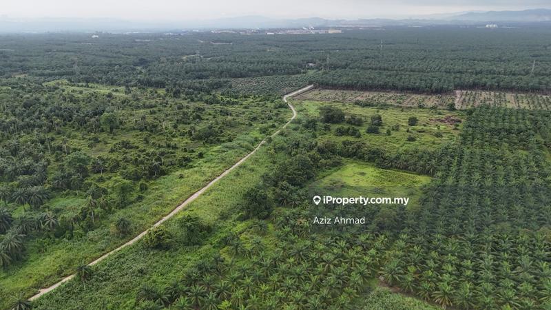Tanah Pertanian untuk Dijual di Banting, Banting oleh Aziz Ahmad - iProperty.com.my