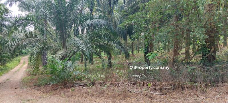 Tanah Pertanian untuk Dijual di Taman Dengkil, Dengkil oleh Henry Ta - iProperty.com.my