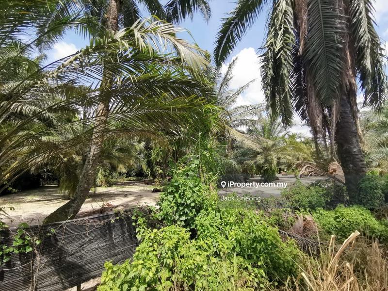 Agricultural Land for Sale in Valdor, Sungai Jawi by Jack Cheong - iProperty.com.my