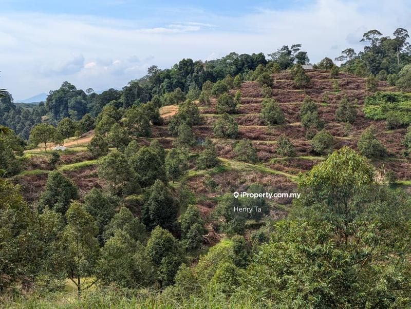 Agricultural Land for Sale in Bandar Baru Kuala Lipis, Kuala Lipis by Henry Ta - iProperty.com.my